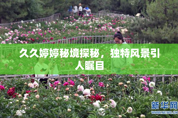 久久婷婷秘境探秘，独特风景引人瞩目