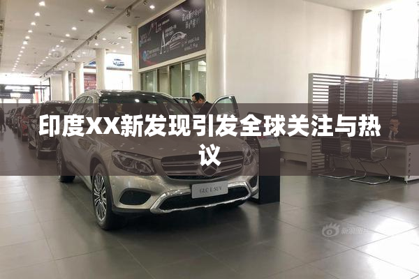 印度XX新发现引发全球关注与热议