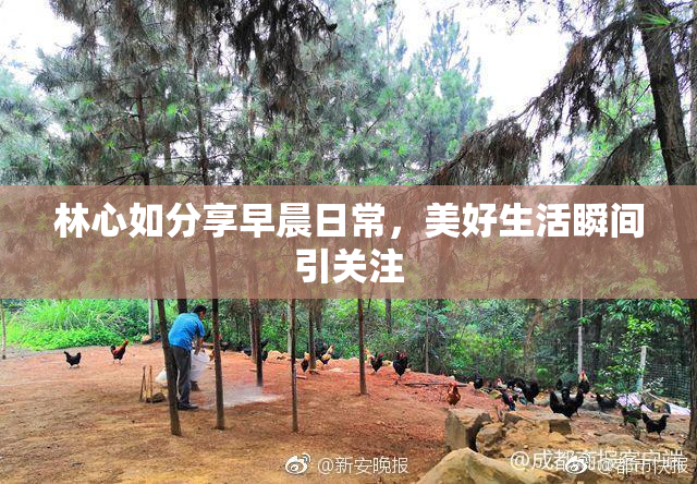 林心如分享早晨日常，美好生活瞬间引关注