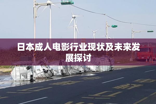 日本成人电影行业现状及未来发展探讨