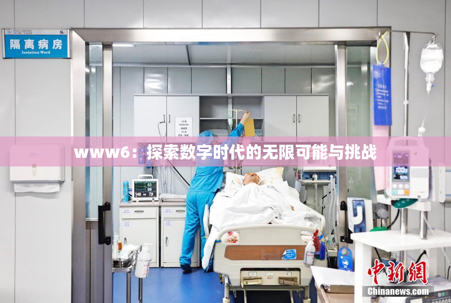 www6：探索数字时代的无限可能与挑战
