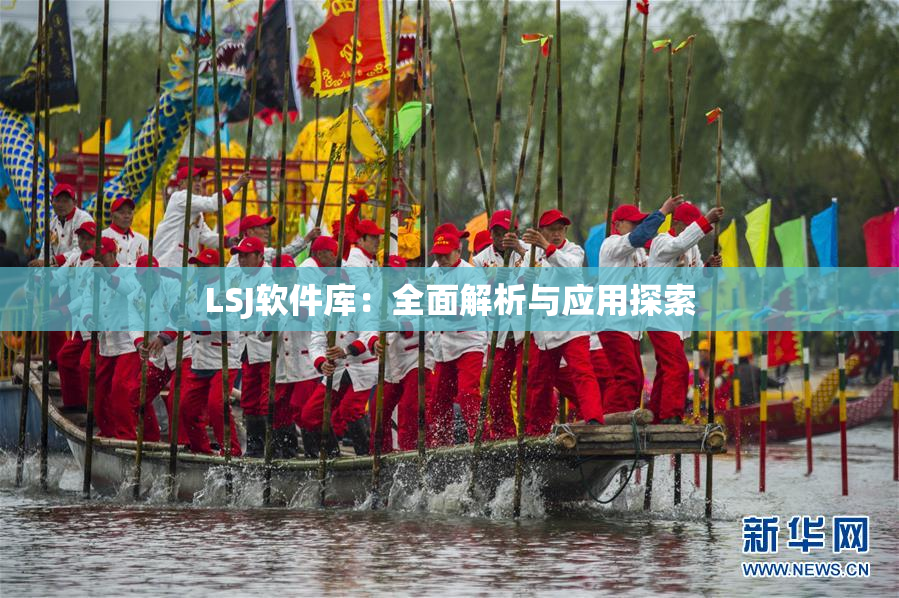 LSJ软件库：全面解析与应用探索