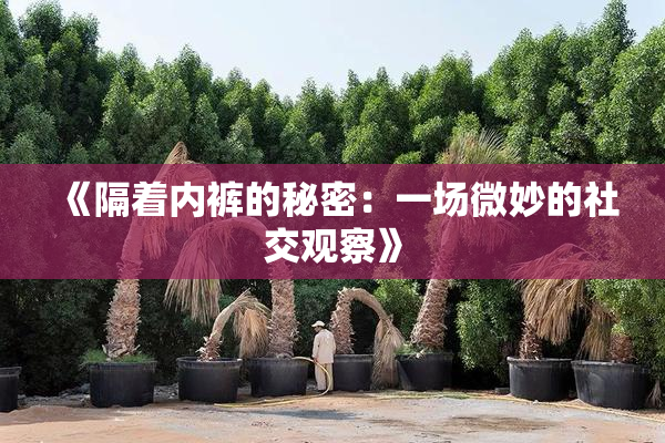 《隔着内裤的秘密：一场微妙的社交观察》