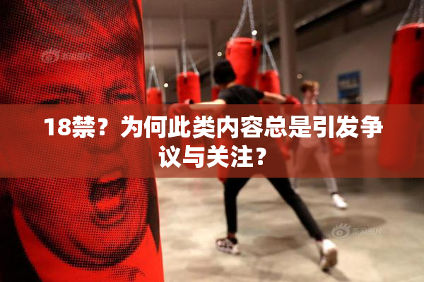 18禁？为何此类内容总是引发争议与关注？