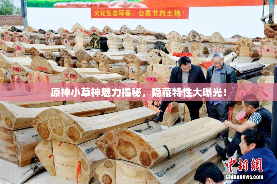 原神小草神魅力揭秘，隐藏特性大曝光！