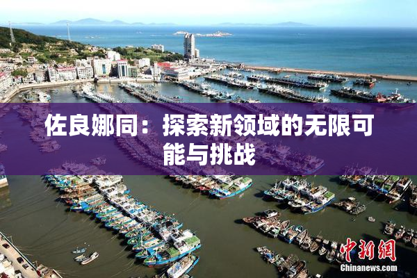 佐良娜同：探索新领域的无限可能与挑战