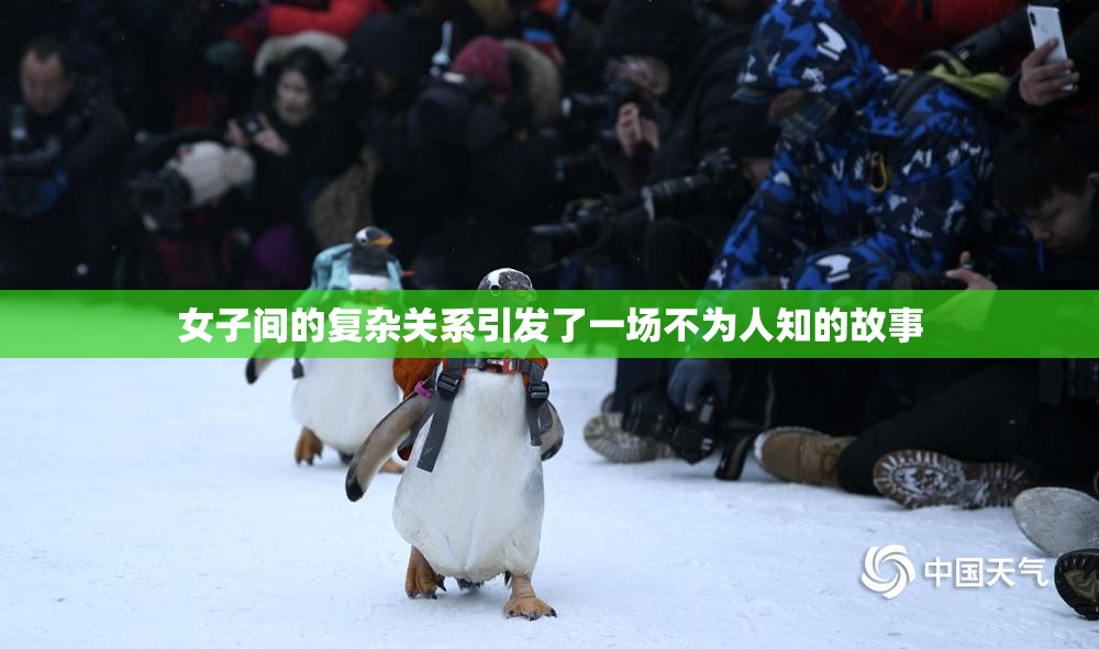 女子间的复杂关系引发了一场不为人知的故事