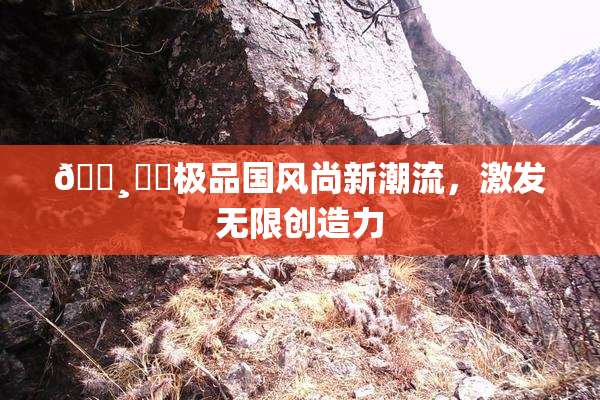 🌸‌✿极品国风尚新潮流，激发无限创造力