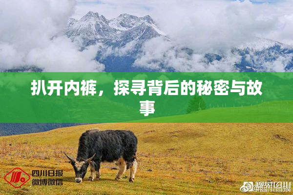 扒开内裤，探寻背后的秘密与故事