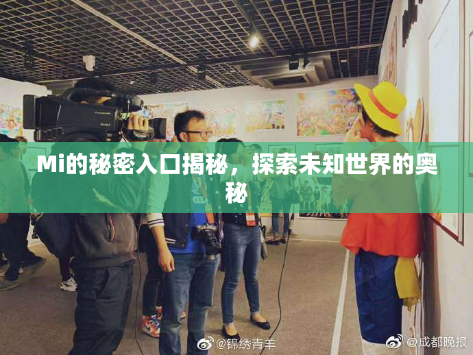 Mi的秘密入口揭秘，探索未知世界的奥秘