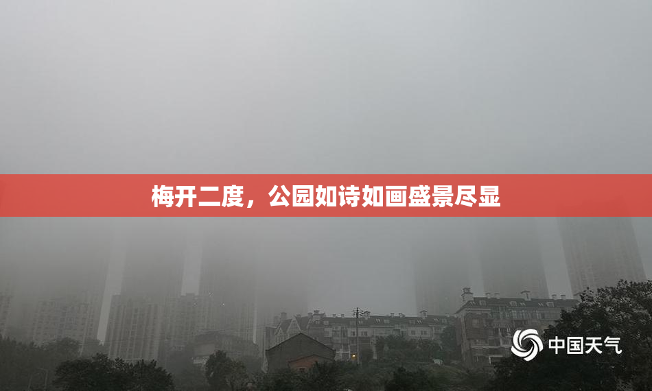 梅开二度，公园如诗如画盛景尽显