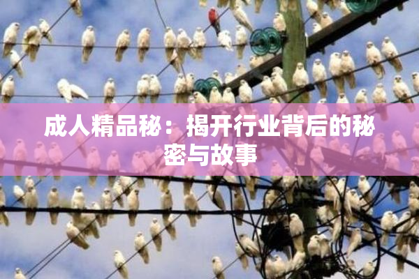 成人精品秘：揭开行业背后的秘密与故事