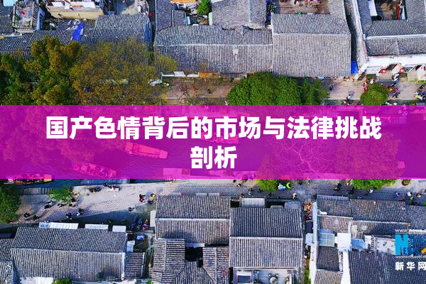 国产色情背后的市场与法律挑战剖析