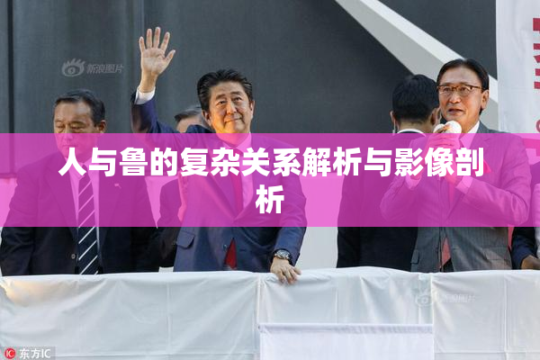 人与鲁的复杂关系解析与影像剖析