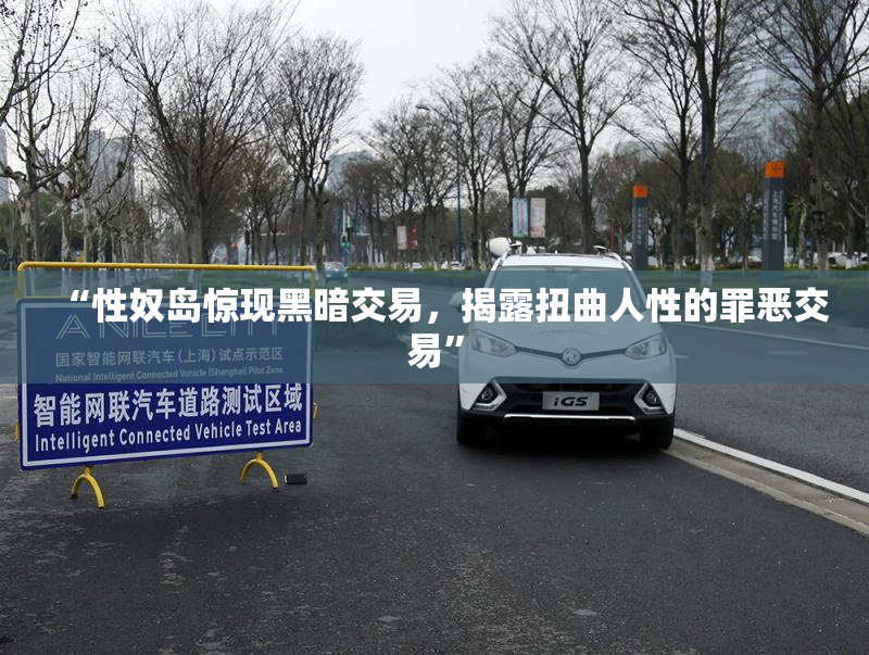 “性奴岛惊现黑暗交易，揭露扭曲人性的罪恶交易”