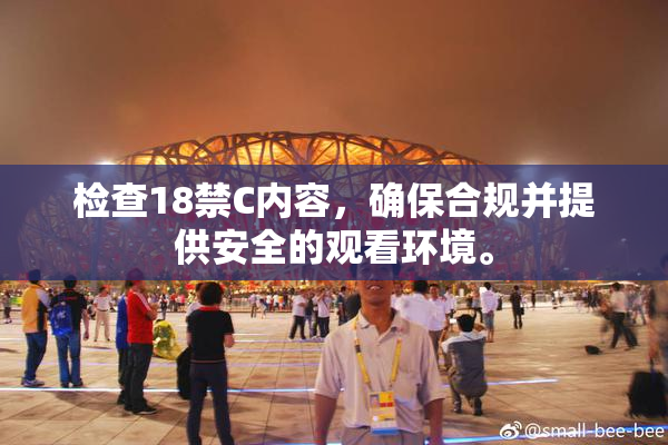 检查18禁C内容，确保合规并提供安全的观看环境。