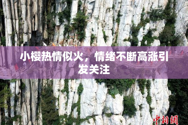 小樱热情似火，情绪不断高涨引发关注
