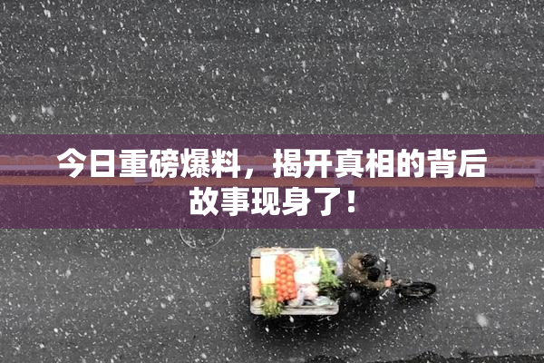 今日重磅爆料，揭开真相的背后故事现身了！