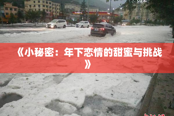 《小秘密：年下恋情的甜蜜与挑战》