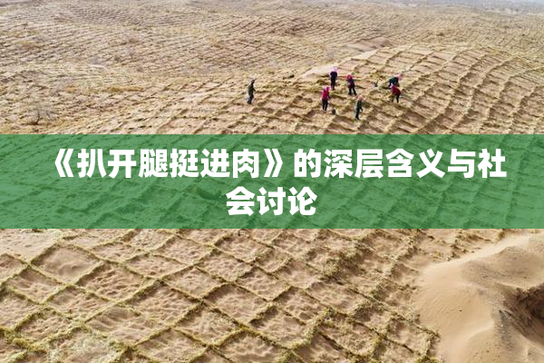 《扒开腿挺进肉》的深层含义与社会讨论