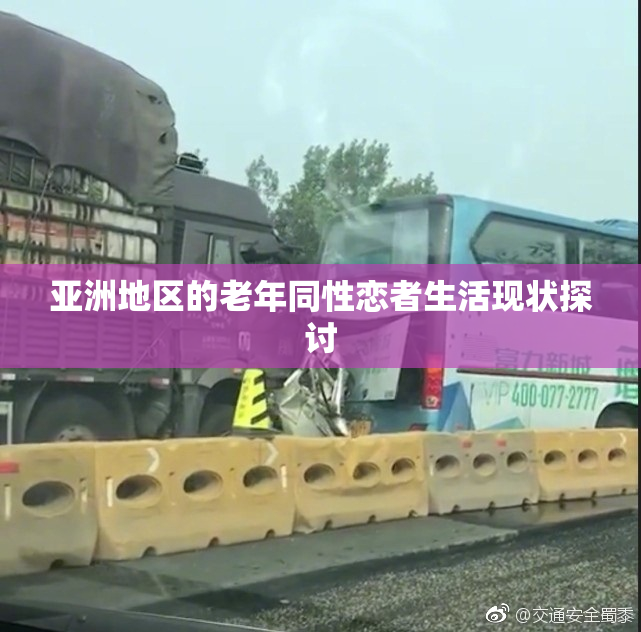 亚洲地区的老年同性恋者生活现状探讨