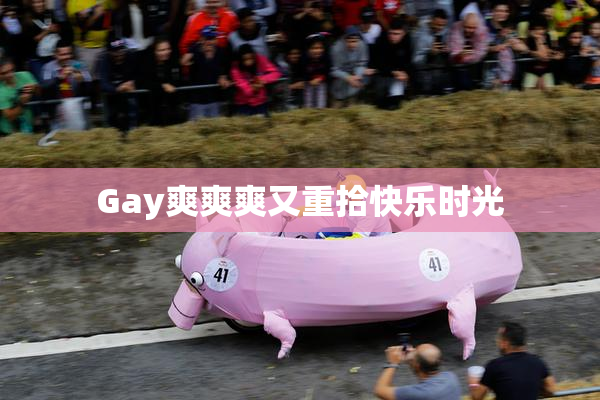 Gay爽爽爽又重拾快乐时光