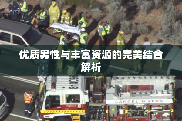 优质男性与丰富资源的完美结合解析