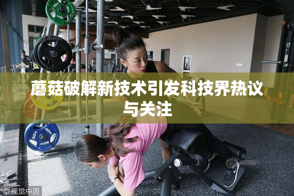 蘑菇破解新技术引发科技界热议与关注