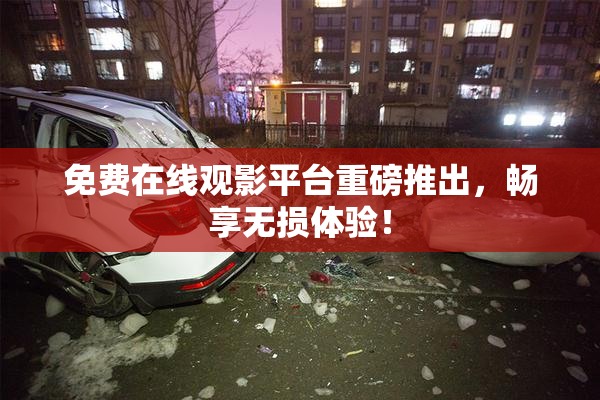 免费在线观影平台重磅推出，畅享无损体验！