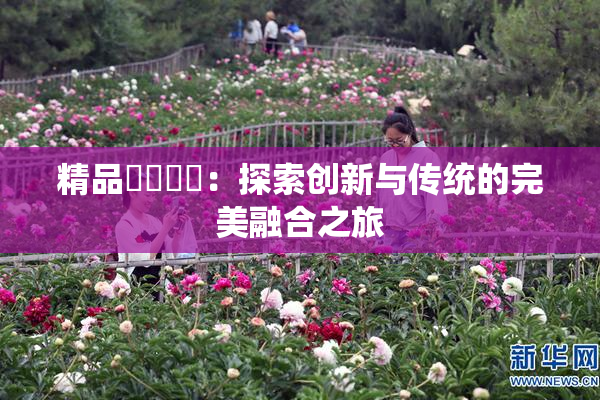 精品❌‌❌‌：探索创新与传统的完美融合之旅