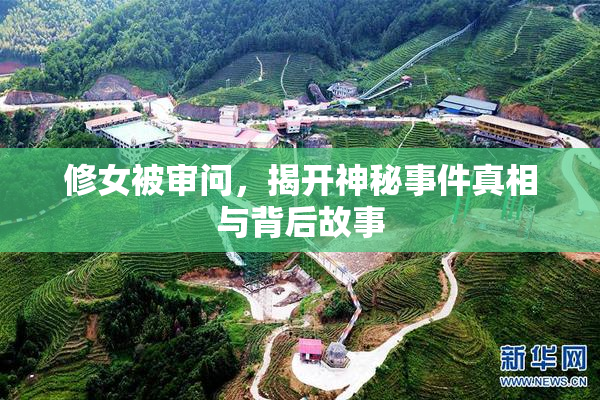 修女被审问，揭开神秘事件真相与背后故事