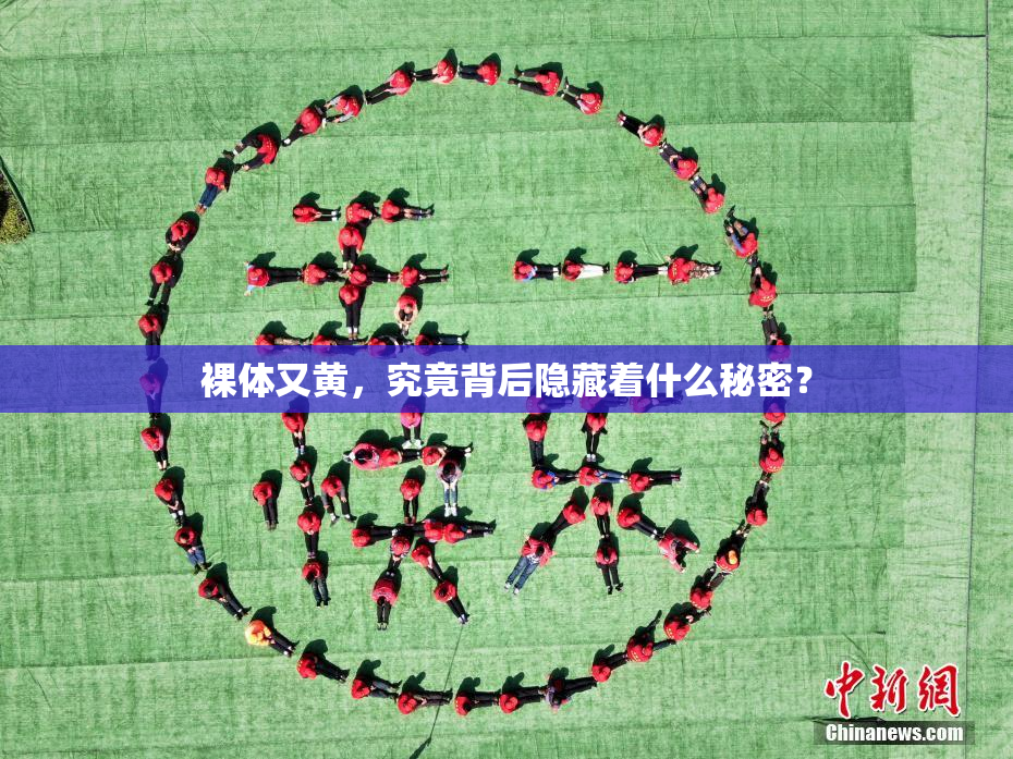 裸体又黄，究竟背后隐藏着什么秘密？