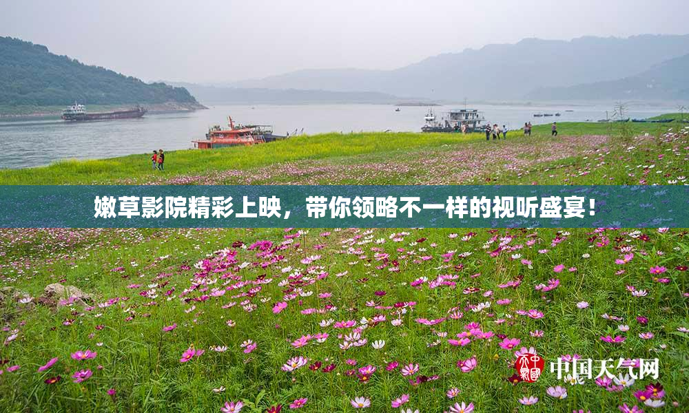 嫩草影院精彩上映，带你领略不一样的视听盛宴！