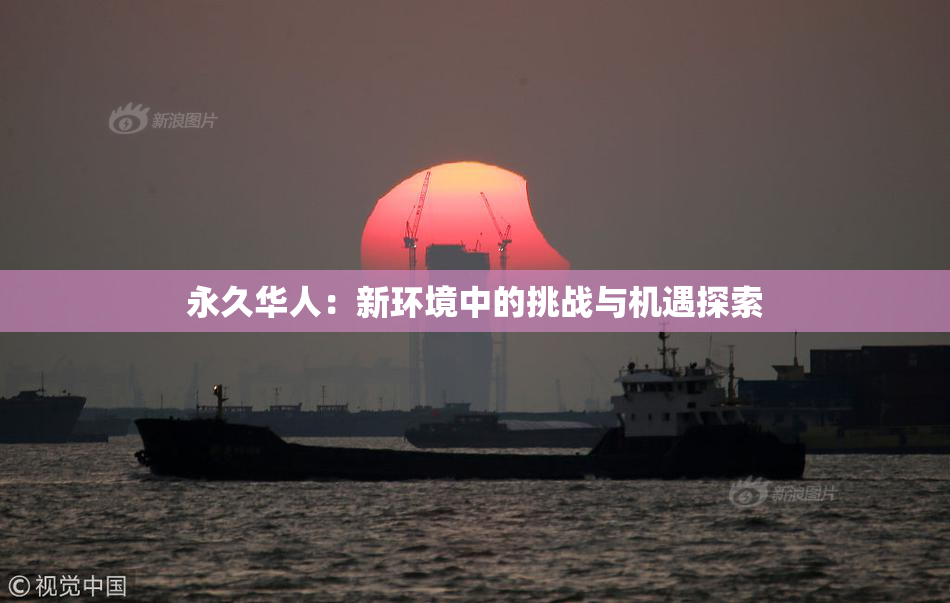 永久华人：新环境中的挑战与机遇探索