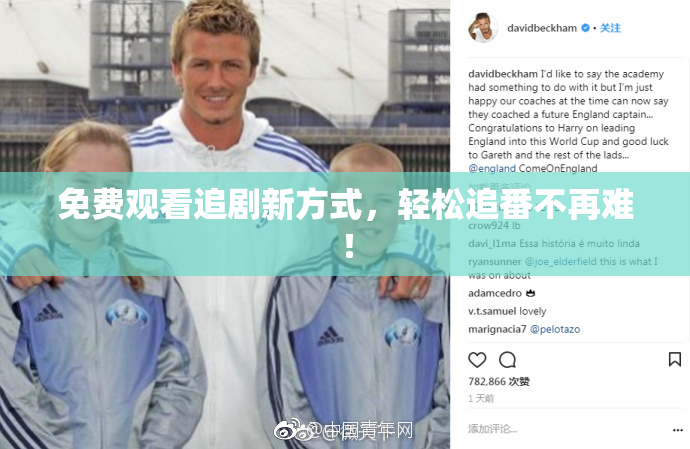 免费观看追剧新方式，轻松追番不再难！