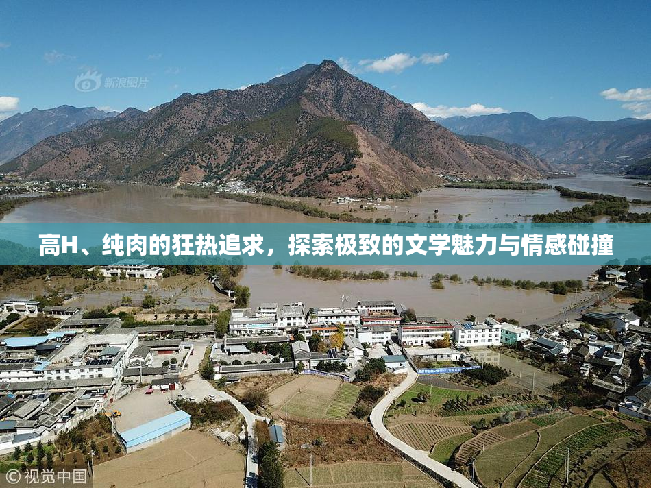 高H、纯肉的狂热追求，探索极致的文学魅力与情感碰撞