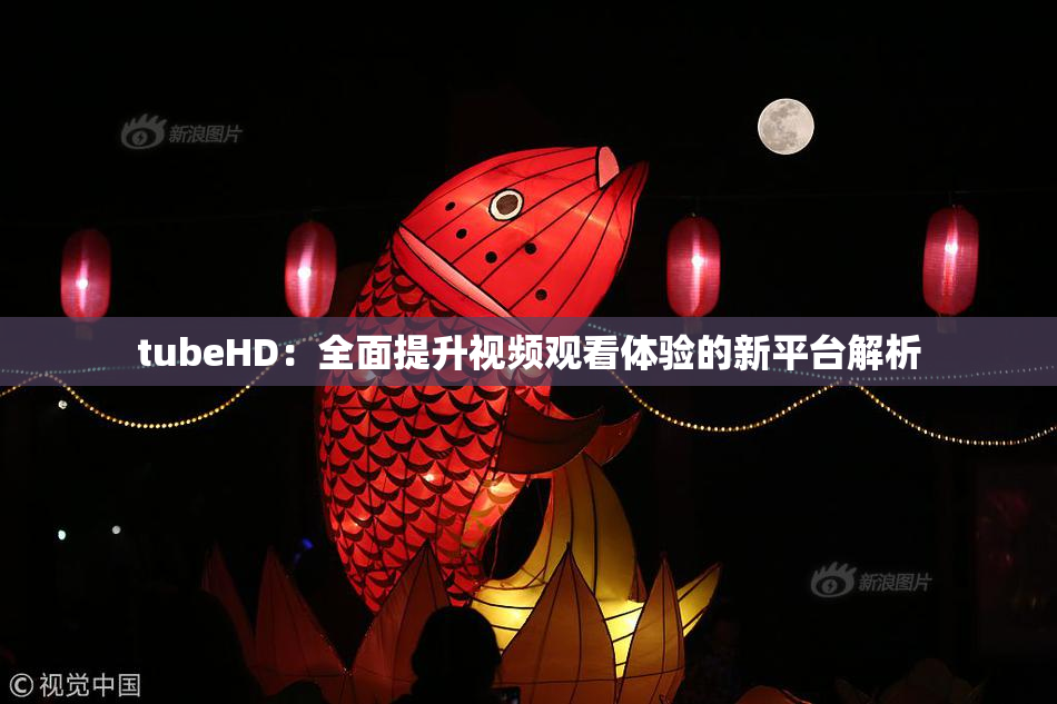 tubeHD：全面提升视频观看体验的新平台解析