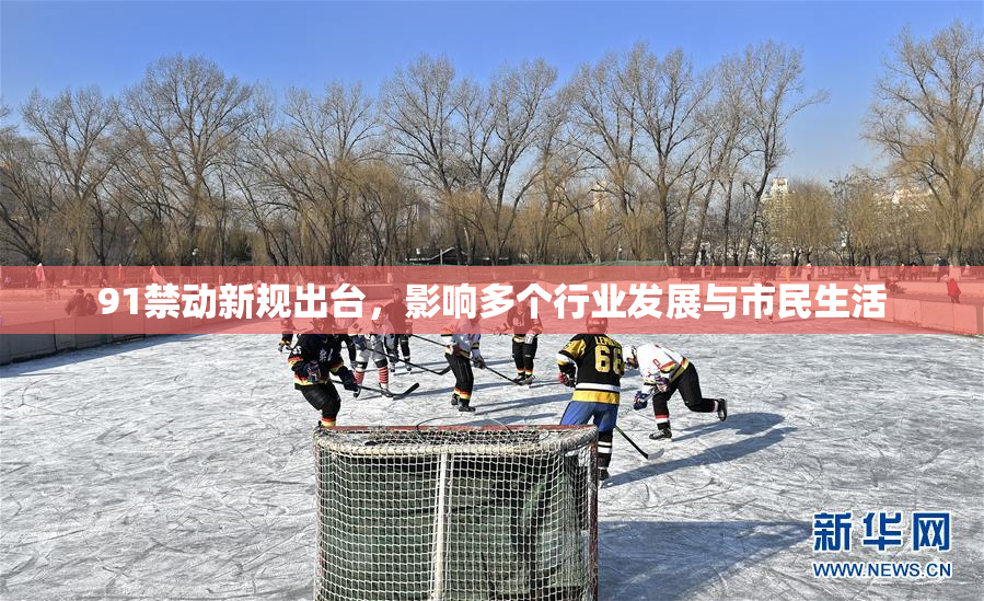 91禁动新规出台，影响多个行业发展与市民生活