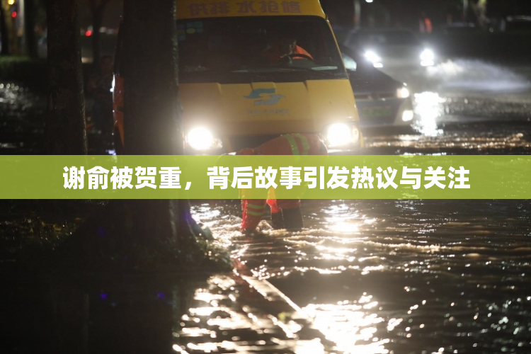 谢俞被贺重，背后故事引发热议与关注