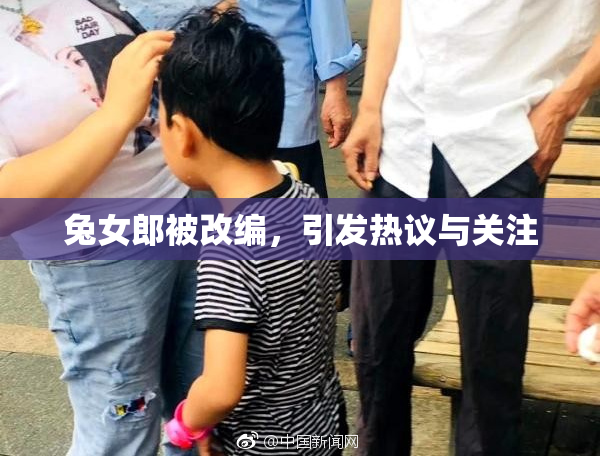 兔女郎被改编，引发热议与关注