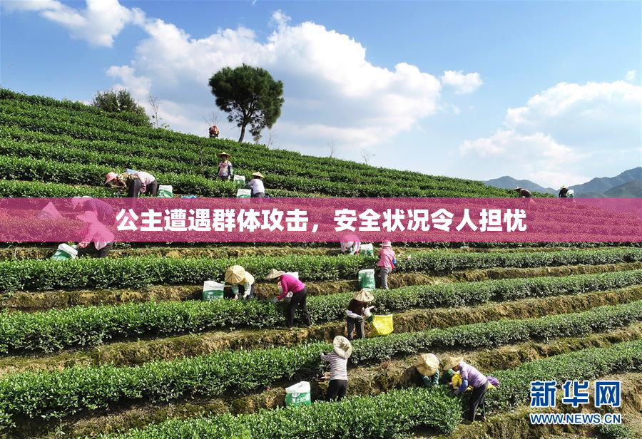 公主遭遇群体攻击，安全状况令人担忧