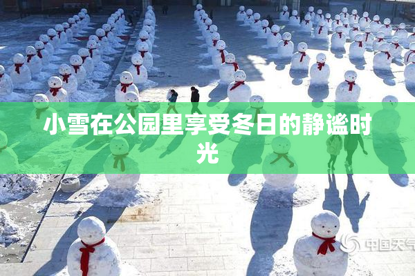 小雪在公园里享受冬日的静谧时光