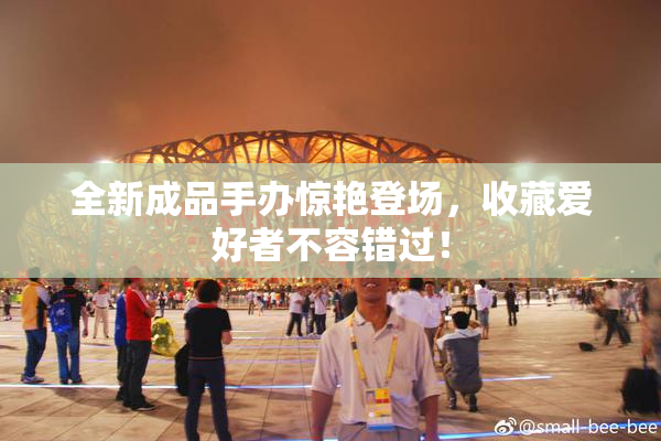 全新成品手办惊艳登场，收藏爱好者不容错过！