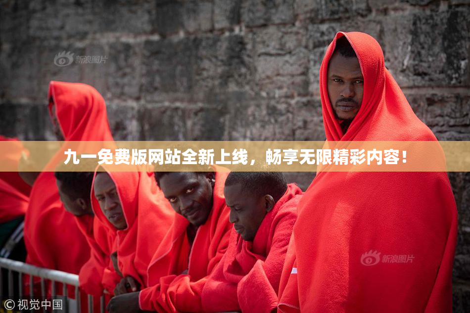九一免费版网站全新上线，畅享无限精彩内容！