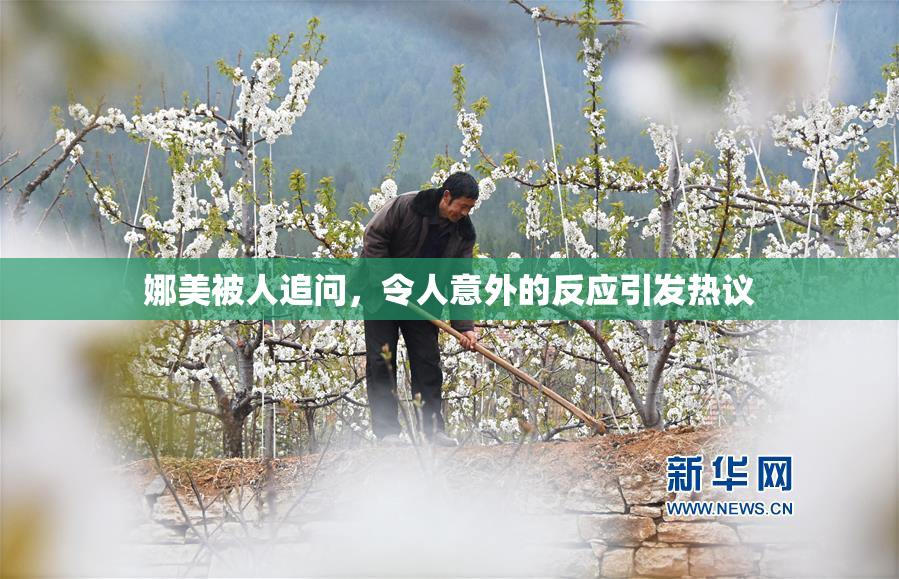 娜美被人追问，令人意外的反应引发热议