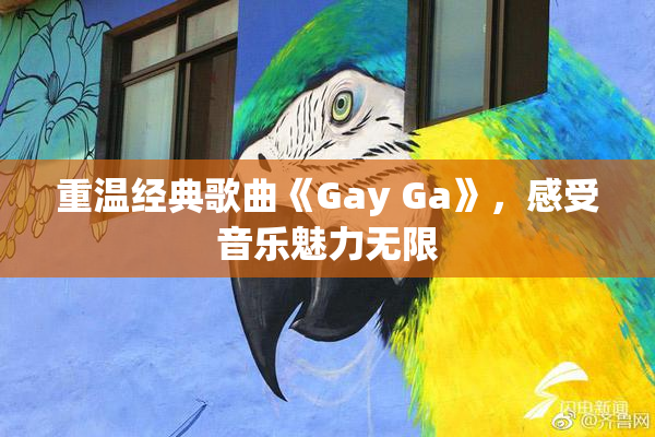 重温经典歌曲《Gay Ga》，感受音乐魅力无限