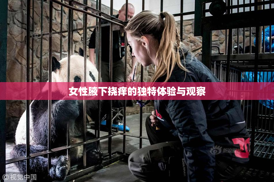女性腋下挠痒的独特体验与观察