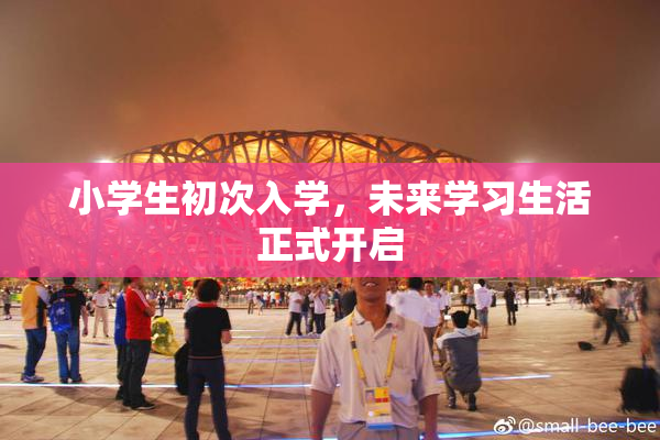 小学生初次入学，未来学习生活正式开启