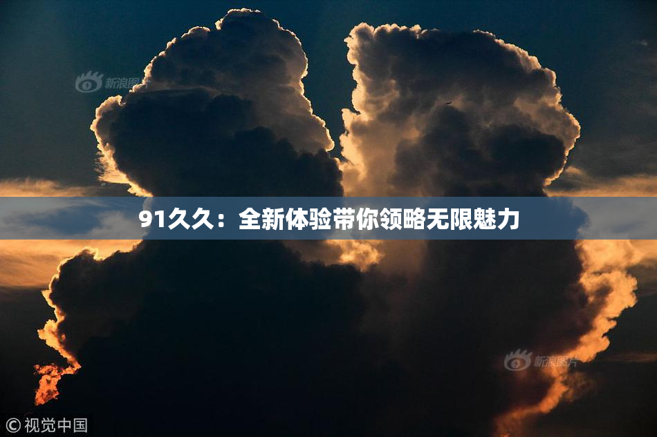91久久：全新体验带你领略无限魅力