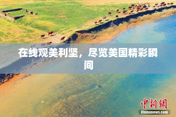在线观美利坚，尽览美国精彩瞬间